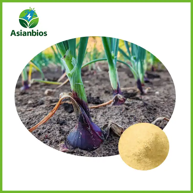 Onion Extract Powder